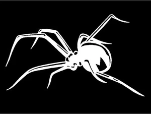 Spider Decal crawling car truck window motorcycle vinyl sticker graphic - Picture 1 of 1