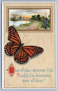 Postal c1910 Monarca Mariposa en relieve #C15 - Imagen 1 de 2