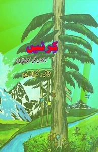 KirneiN (Kids Stories) (Editionfirst) by Saqiba Rahimuddeen Paperback Book - Picture 1 of 1