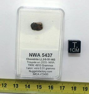 Meteorite NWA 5437 Heel In A Box - Chondrite L/LL 3.5 (0.31 G - 003) - Picture 1 of 2