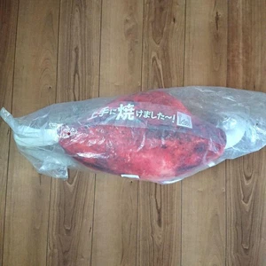 Monster Hunter 4 Ichibankuji D Prize Cushion - Picture 1 of 1
