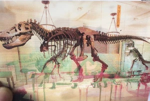 Dinosaur Lenticular Print Postcard - 2 Magic Motion Winkie Images - Picture 1 of 2