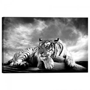 Cadre D'Impression Sur Toile Tigre - Imagen 1 de 1