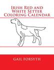 Irish Red and White Setter Coloring Calendar by Gail Forsyth (English) Paperback