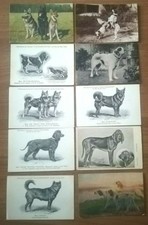 CARTOLINE D' EPOCA - CANE - DOG - LOTTO DI 34 PEZZI - OLD POSTCARD