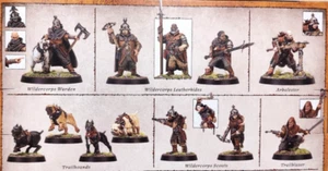 Warhammer AoS Cities of Sigmar WIldercorps Hunters NO BOX - Picture 1 of 2