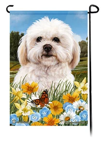 Bandera de jardín flores de verano - Shihpoo - Imagen 1 de 1