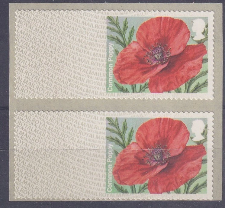 POST & GO POPPIES BLANK PRINTING - Image 1 of 1