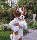Fursuit Plus Gifts Furry Cosplay Anime 