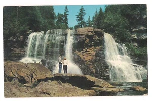 2 People At BLACKWATER FALLS State Park Water Davis West Virginia Postcard - Picture 1 of 2