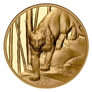 1 oz Kanada Goldmünze Great Hunters - Puma - Ultra High Relief 2024 PP mit Box - Picture 1 of 5