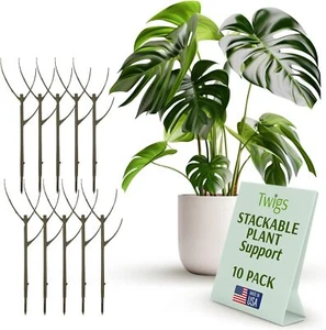 Stackable Plant Support Stakes, Stem Holder Structures for Indoor & Outdoor Use - Picture 1 of 6