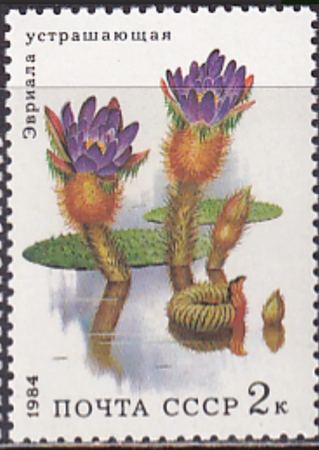 Russia #Mi5382 MNH 1984 Aquatic Plants Euryale Ferox [5252] - Image 1 of 1