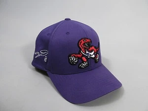 Toronto Raptors Kawhi Leonard Mütze Cap Mitchell & Ness HWC 110 Flexfit Snapback - Bild 1 von 9