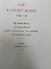 Old Garden Roses, Part Two: the Gallicas, Blunt, Wilfrid and James Russell. 1957