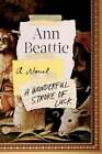 A Wonderful Stroke Of Luck By Ann Beattie: New