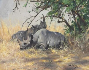 Friedrich Wilhelm Kuhnert Two Rhinoceros Resting Canvas Canvas 16 x 20 - Picture 1 of 4