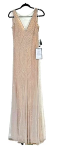 Adrianna Papell Women's Beaded Illusion Godet Gown Silver Nude Sleeveless Size 0 - Picture 1 of 13