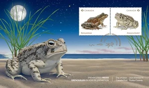 qt. ENDANGERED FROGS = frog, toad, moon = Official FDC Canada 2024 - Picture 1 of 2