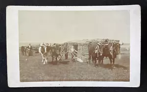 Little Sod House on the Prairie 1891 arado y bueyes primer plano mamá en el fondo - Imagen 1 de 5