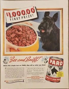 1941 Pard Swifts Hundefutter Vintage Reklame 14 x 10 ansehen und schnüffeln - Bild 1 von 1