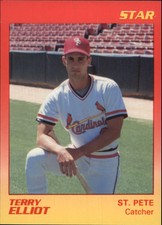 1989 St. Petersburg Cardinals Star #10 Terry Elliot