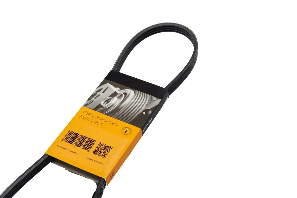 Cinturón Serpentine para Nissan Versa Note, Versa Foto 1 de 1