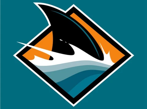 San Jose Sharks Flag 3x5ft Banner Polyester Ice Hockey Stanley 004 Cover