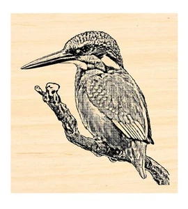 P137 Kingfisher Bird rubber stamp - Picture 1 of 1