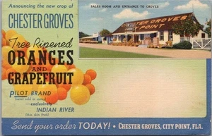 Postal publicitaria vintage 1946 de Chester Groves Florida naranjas cítricos/lino - Imagen 1 de 2