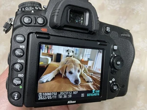 Nikon D750 24.3 MP Digital SLR Camera - Black