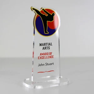 ACRYLIC COLOUR TROPHY AWARD CUSTOM DESIGNED FOR MARTIAL ARTS - Picture 1 of 3