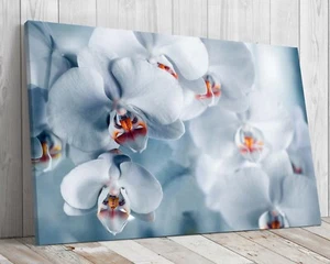 White Orchids, mounted canvas ready to hang - Picture 1 of 9