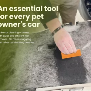 Mini Pet Hair Remover Carpet Scraper Portable Grip Easy Clean Durable Tool - Picture 1 of 8