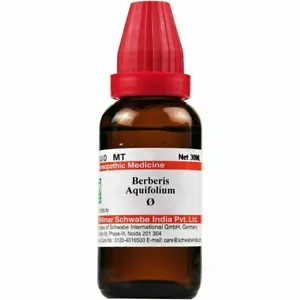 Dr. Willmar Schwabe Indien Berberis Aquifolium Mutter Tinktur Q-30ml - Bild 1 von 3