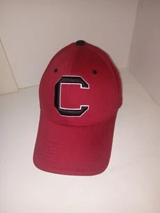 Gamecocks Ball Cap - Picture 1 of 4