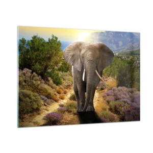 Wandbilder 100x70cm Glasbild Tiere Afrika Elefanten Spaziergang Bilder Wanddeko - Bild 1 von 10