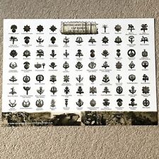 WW1 British Infantry Regiment Cap Badges Identification Guide A2 Poster - FOLDED