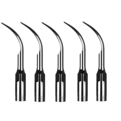 10 Pcs Dental Scaling Ultrasonic Scaler Tip G1 Fit For EMS/Woodpecker Handpiece  - Image 1 of 4