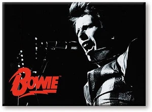 David Bowie B&W Acero Cantante imán nevera (nm) - Imagen 1 de 1