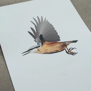 Nuthatch Bird print A4 high quality print & paper - Picture 1 of 5