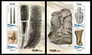 Guinea Bissau 2024 Fossils. (250) - Picture 1 of 1