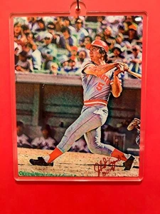 Cincinnati Reds Johnny Bench acrylic lithograph-BRM Collectible - Picture 1 of 1