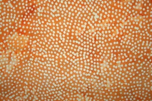 TONGA BATIK - YELLOW SPOTS ON GOLD - Picture 1 of 3