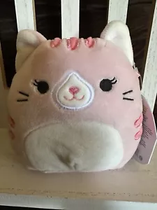 "Felpa de peluche Squishmallows Paulita The Pink Tabby Cat 5""" - Imagen 1 de 3