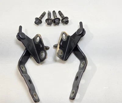 2012-14 Honda CR-V CRV Decklid Tailgate Trunk Hinges Left Right SET OEM NH737MX - Image 1 of 4