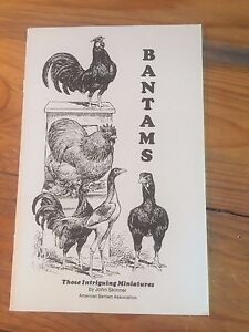 Bantams - Those intriguing Miniatures