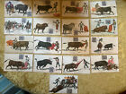 Bull Fighting Matador Banderillas 17 Postcards 1906 Al Cuartes Hatton Mexico