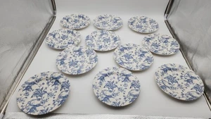 Staffordshire Gravuren Paradiesvögel 8" Salatteller (11er Set) - Bild 1 von 12