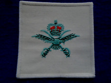 ROYAL AIR FORCE, RAF, PHYSICAL TRAINING INSTRUCTORS EMBROIDERED VEST BADGE